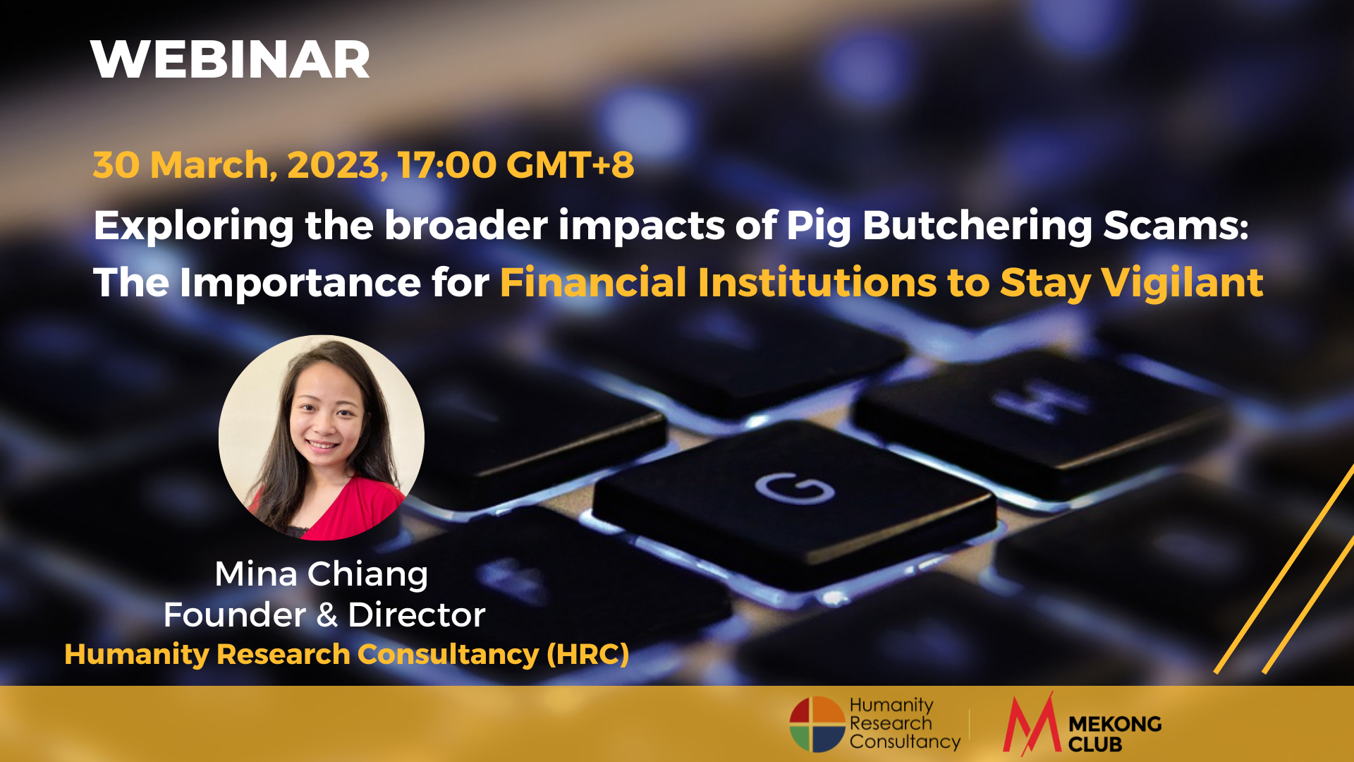 Exploring the broader impacts of Pig Butchering Scams: The Importance for Financial Institution to Stay Vigilant