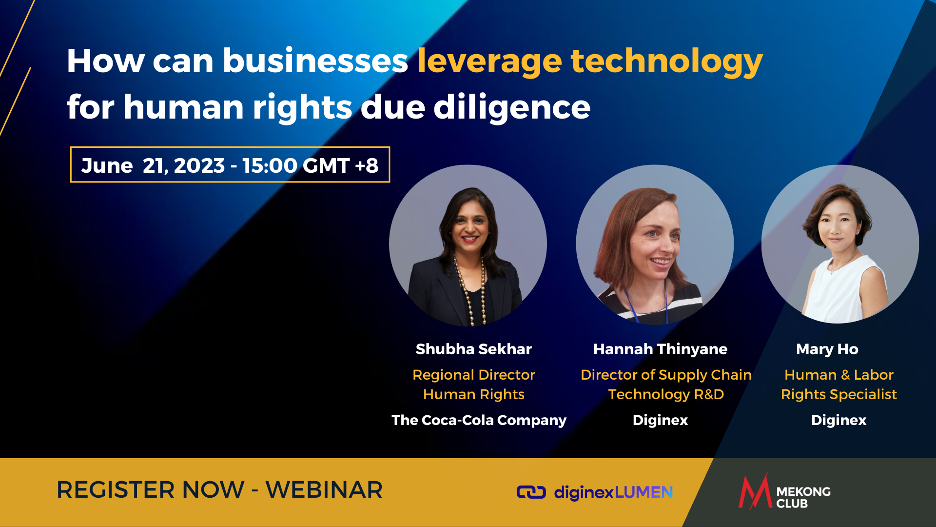 Webinar: How can businesses leverage technology for human rights due diligence