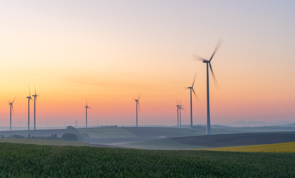 CSRD Reporting in 2025: Navigating the EU Omnibus Proposal’s Impact on Global Corporate Sustainability