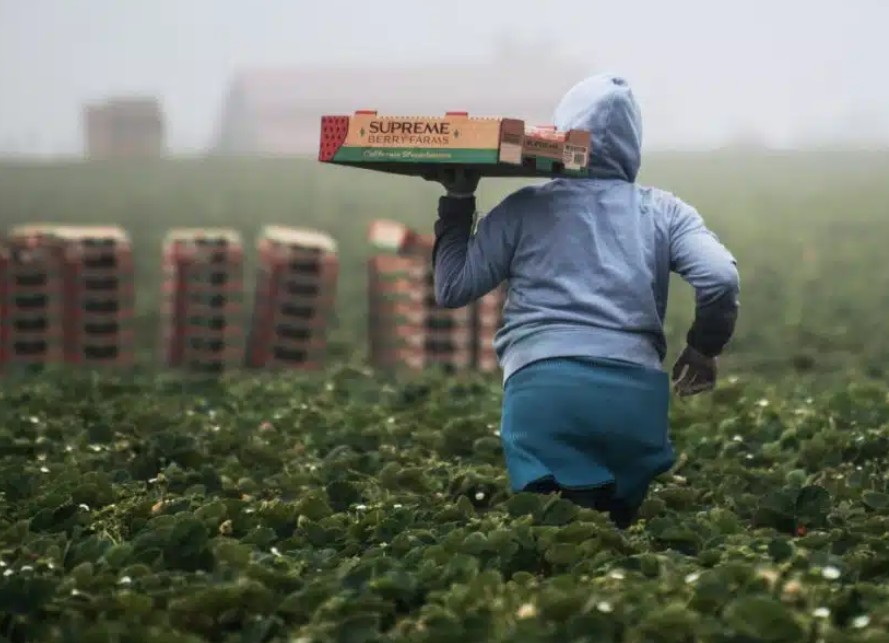 Modern forms of slavery: 28 million people into forced labour and 138 million children working
